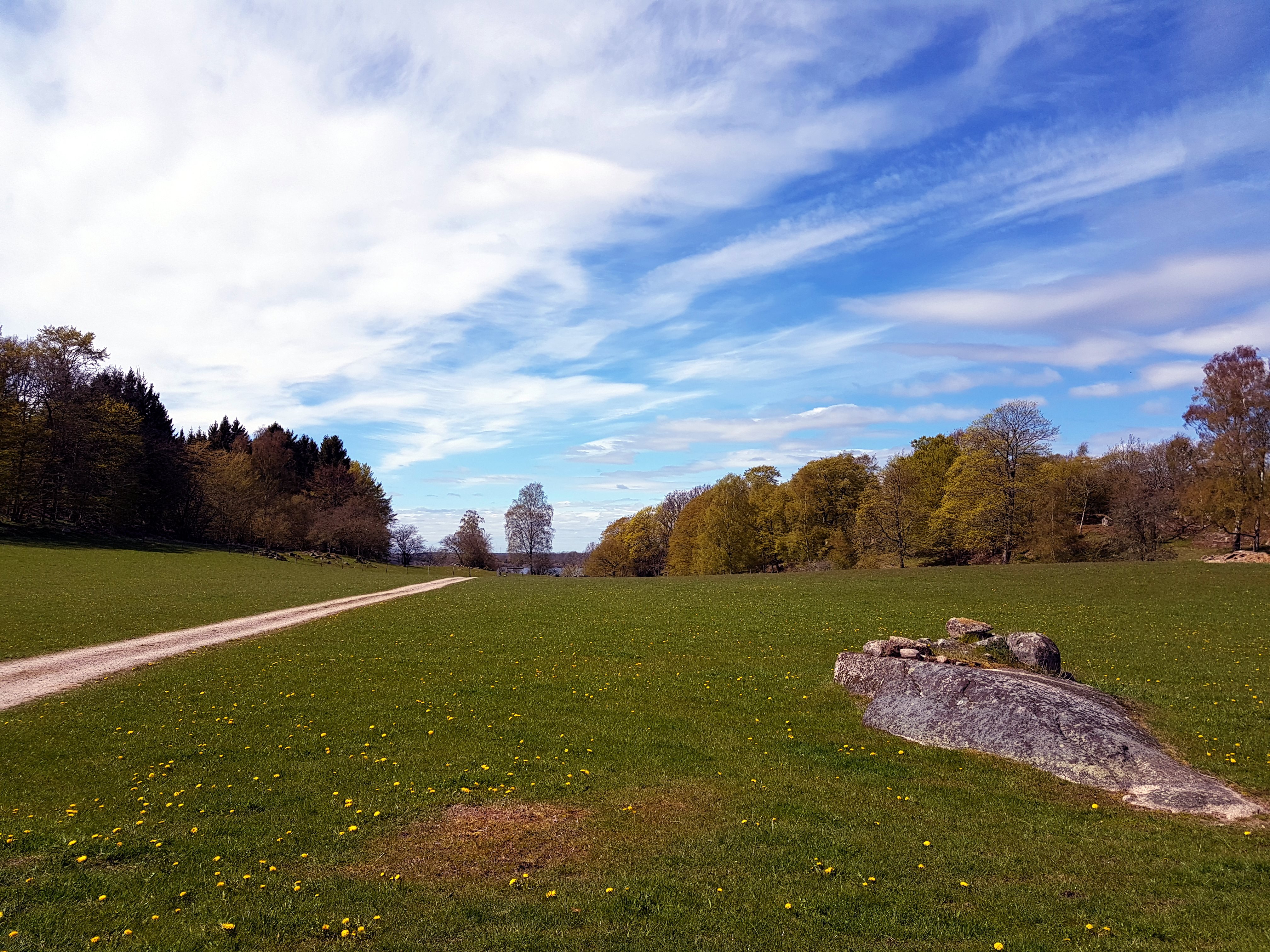 Svalemåla Field