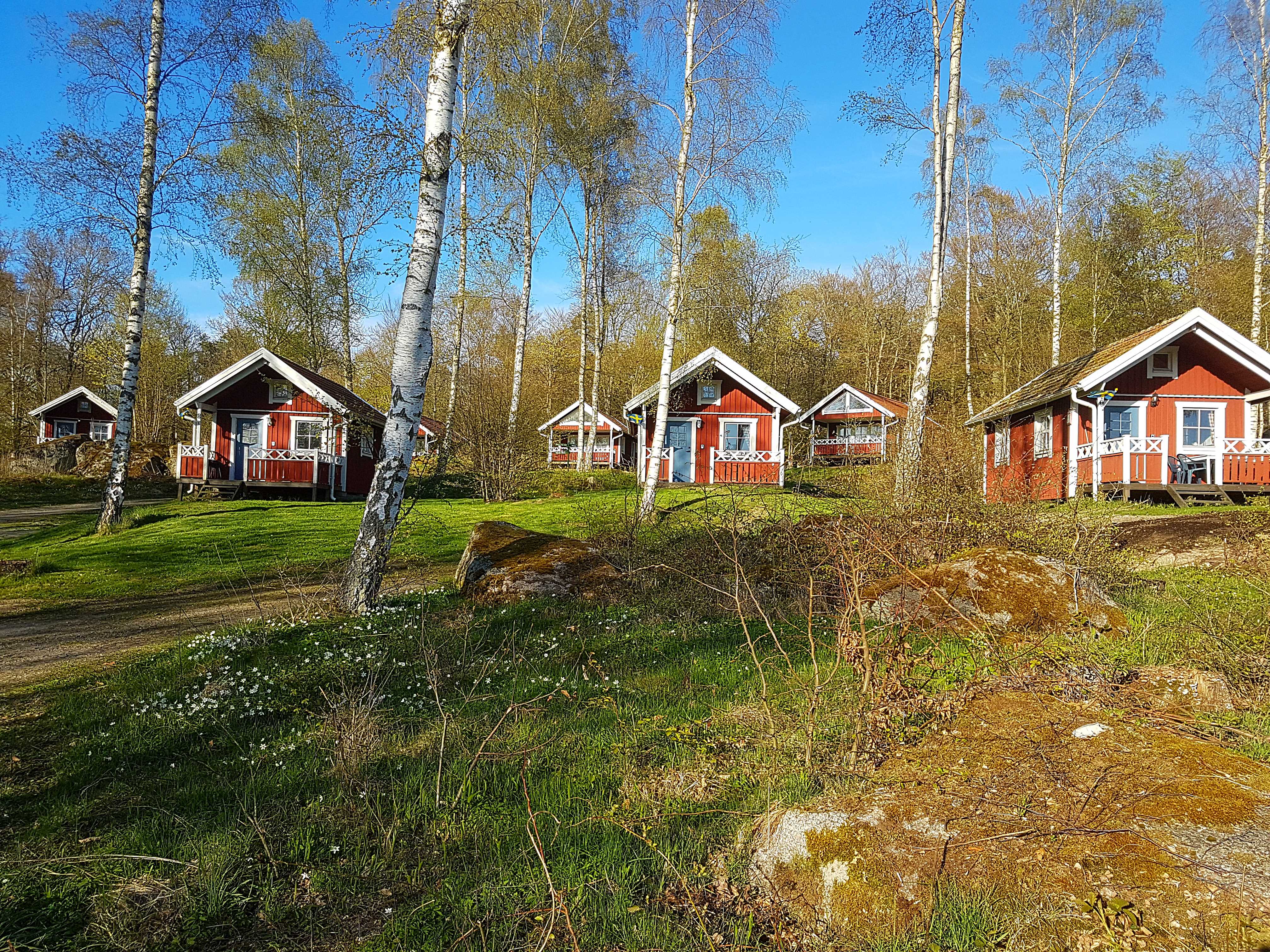 Four 4 bed houses